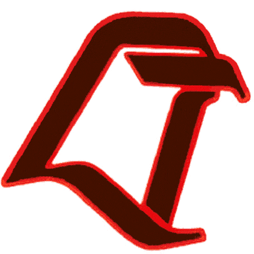 Bowling Green Falcons 1990-2005 Alternate Logo v2 DIY iron on transfer (heat transfer)
